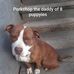 Dennis Groves - Facebook