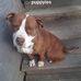 Dennis Groves Sr. - Facebook