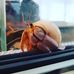 Dennys Grubert - Facebook
