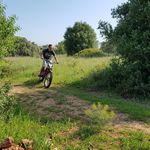 dennis grümmer - @grummerdennis - Instagram