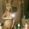 Dennis guardado - @dennisguardado_96 - TikTok