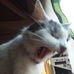Dennis Guinn - Facebook