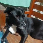 Dennis Gula - Facebook