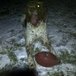 Haines Dennis - @haines.dennis - Instagram