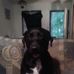 Dennis Halstead - Facebook