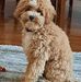Dennis Halstead - Facebook