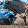 Denny Halstead - @rodeoclown1 - TikTok
