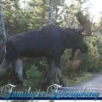 Dennis Hamrick - @djhamrick77 - Instagram