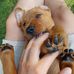Dennis Hausmann - Facebook