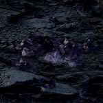 Dennis Hebert - @dennishebert908863 - Instagram