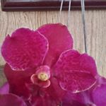 Dennis Hendrix - @dennis.hendrix.921 - Instagram
