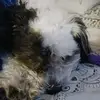 Dennis Herrera - @dennis.herrera05 - TikTok