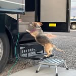 Kim Dennis Holley - @dak041403 - Instagram