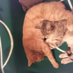 Dennis Holstein - @holstein_dennis - Instagram