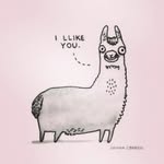 Dennis - @dennisinnl - Instagram