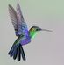 Denis Ivers - Facebook