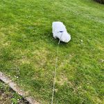 Dennisi - @dennisiversen553 - Instagram