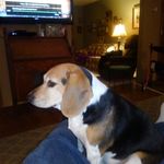 Dennis iverson - @iverson2925 - Instagram