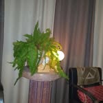 Dennis Jaffe - @dennisjafferocket - Instagram