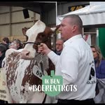 Dennis Kay - @denniskay1975 - Instagram