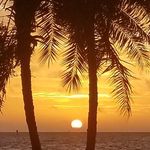 Dennis Keating - @sunsup_stpete - Instagram