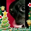 denniskeating8 - @denniskeating8 - TikTok