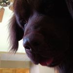 Dennis Keegan - @dennis.keegan.9 - Instagram