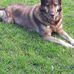 Dennis Mckeegan - Facebook