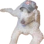 Dennis Keith - @dennis.keith - Instagram