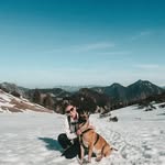 Dennis Kidd - @tertialuucii - Instagram