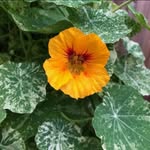 Dennis Kidd - @denn.iskidd - Instagram