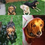 Dennis Kitchen - @dkitch102003 - Instagram