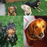 Dennis Kitchen - @dennis_kitchen_79 - Instagram