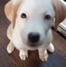 Dennis Koska - Facebook