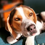 Dennis LaFever - @saltytubers - Instagram