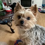 Dennis Lafever - Facebook