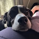 Dennis - @living_large_with_dennis_ - Instagram