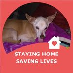 Dennis Laroche - @dennis.laroche.50 - Instagram