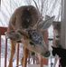 Dennis Laroche - Facebook