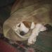 Dennis Larson - Facebook