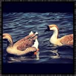 Dennis Latson - @jerryfetzerycs - Instagram