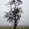 denisleask - @denisleask - TikTok
