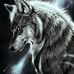 Denis Loschner - Facebook