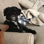 Dennis - @dennisleclairld - Instagram