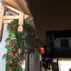 Desista e obtenha - @dennisleeper86 - TikTok