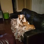 Dennis Levesque - @dennislevesque72 - Instagram