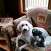 Dennis Lipp - Facebook