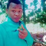 Dennis Mach - @mach_dennis33 - Instagram