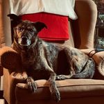 Dennis Mackey - @dmackey1004 - Instagram