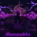 Dennis Magness - Facebook